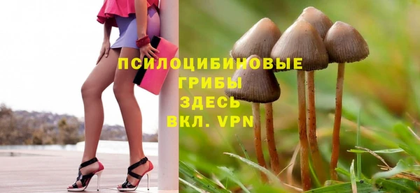 твердый Арсеньев