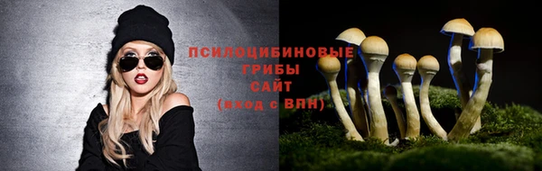 твердый Арсеньев