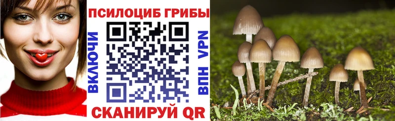 Псилоцибиновые грибы Magic Shrooms Спасск